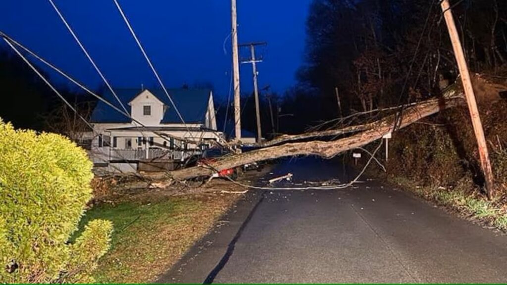 photo of a tree across a road that has brought down power lines